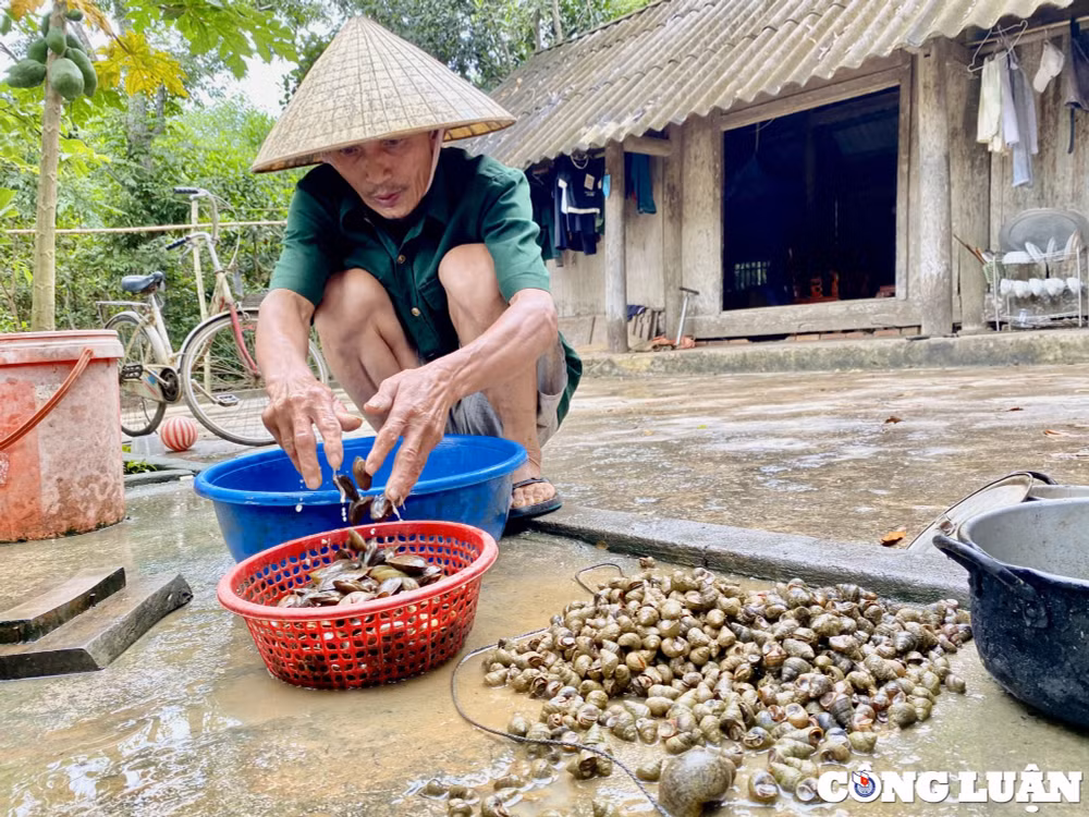 thanh hoa du an di dan bangniem tin hinh 3