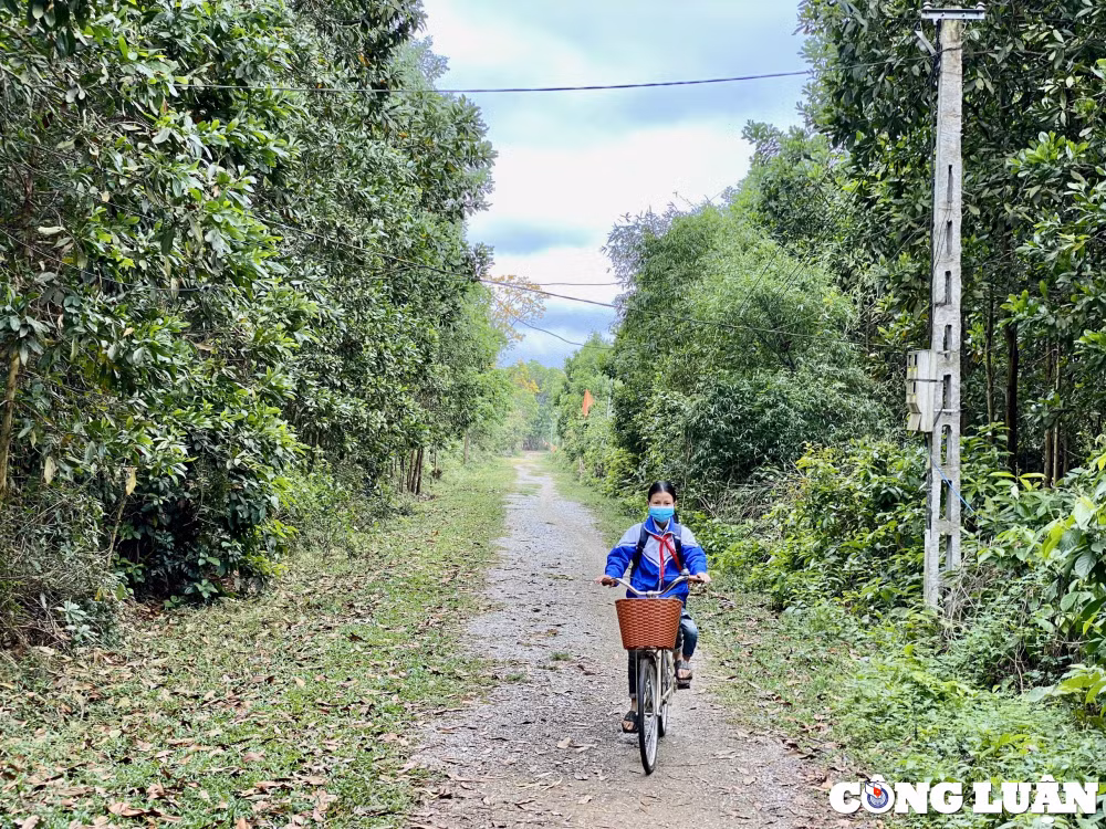 thanh hoa du an di dan bangniem tin hinh 4