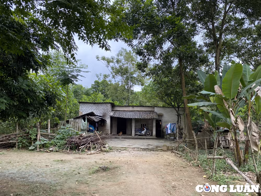 thanh hoa du an di dan bangniem tin hinh 5