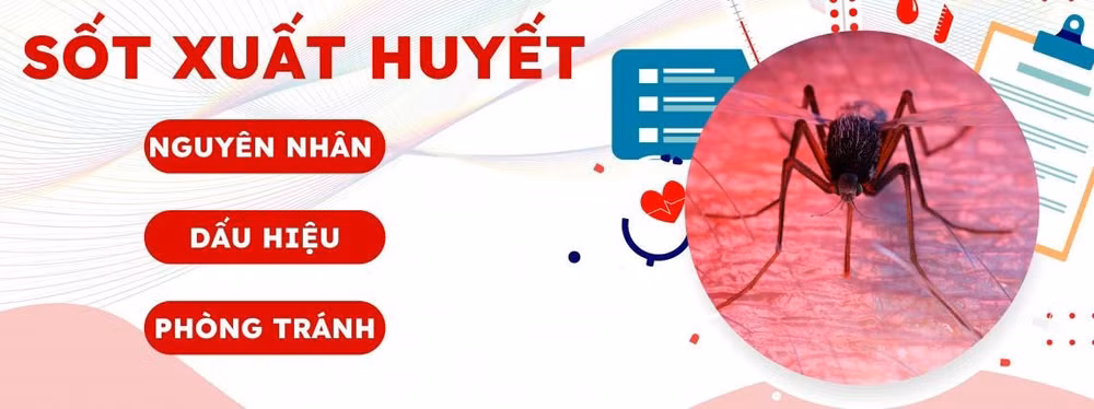 ha noi so mac sot xuat huyet o quan dong da va quan cau giay tang vot hinh 1