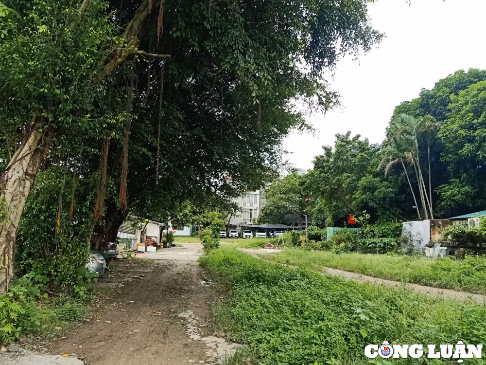 ha noi du an khu nha o phuong phu thuong sau 15 nam van dam chan tai cho hinh 1