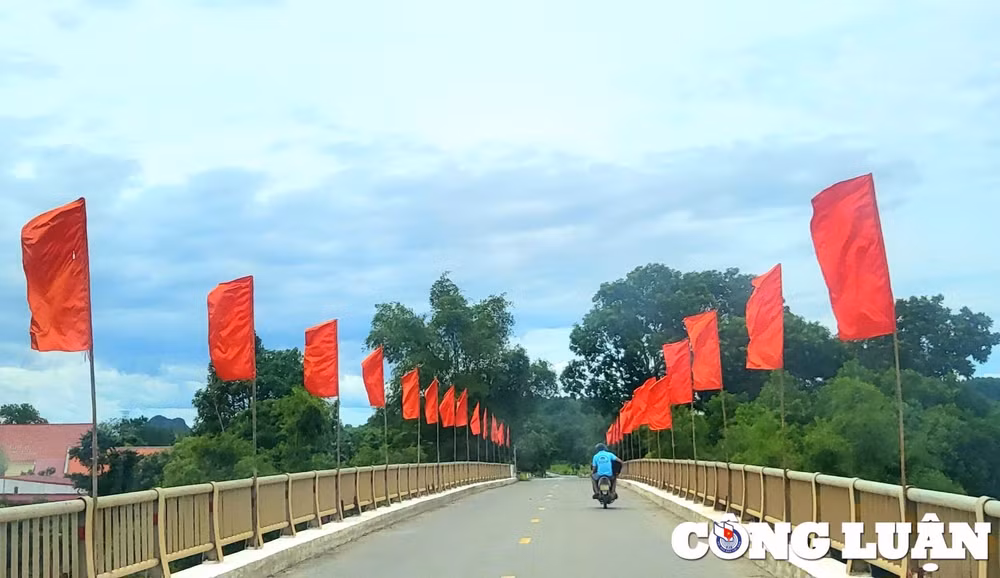 thanh hoa ruc ro co do sao vang chao mung tet doc lap hinh 1