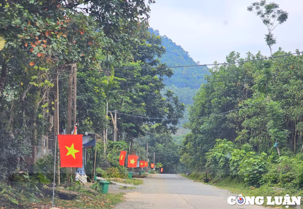 thanh hoa ruc ro co do sao vang chao mung tet doc lap hinh 3