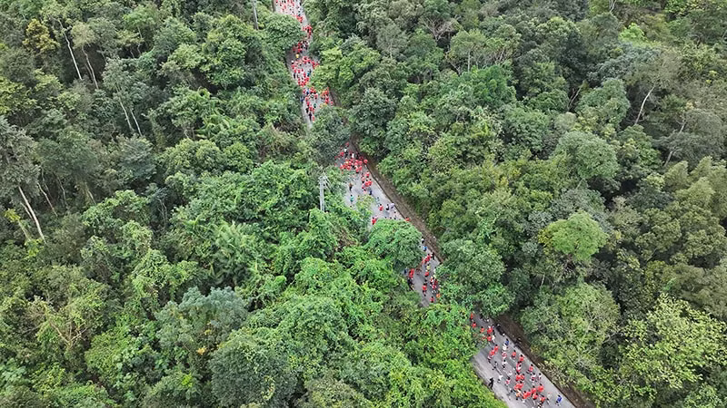 gan 2400 vdv tham gia giai chay quang binh discovery marathon nam 2024 hinh 11