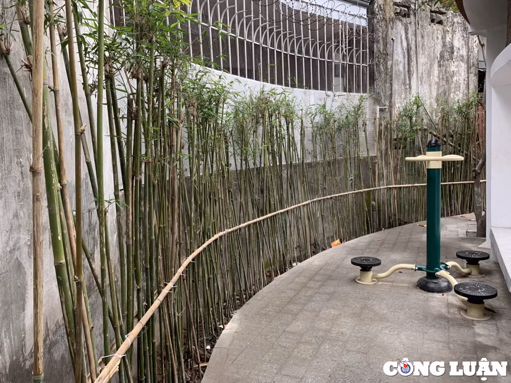 an tuong voi khu vui choi cai tao tu gieng lang giua thu do ha noi hinh 6