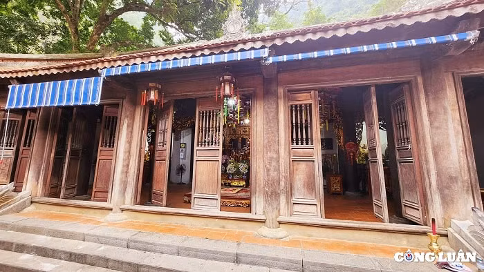 den thung la linh thieng tho quoc mau noi nui rung hinh 3