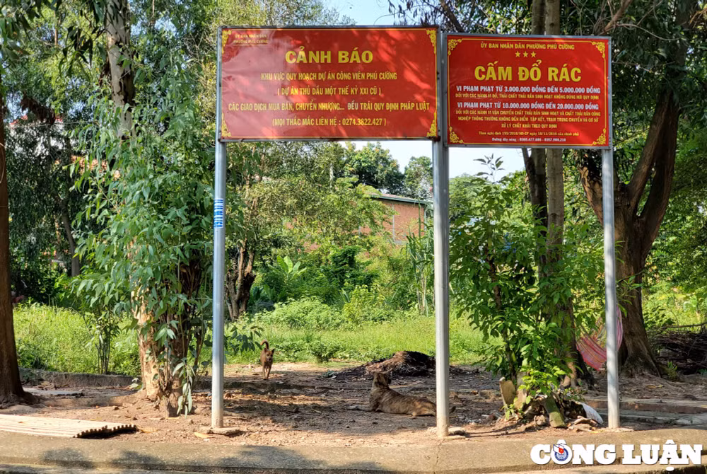Sau khi thu hồi dự án của Công ty Tân Vũ Minh, UBND tỉnh thống nhất phương án quy hoạch khu đất này thành dự án Công viên Phú Cường với quy mô hơn 23ha gồm khu nhà ở tái định cư và Công viên Phú Cường, đồng thời cảnh báo tất cả các giao dịch mua bán, chuyển nhượng đất đai ở đây đều trái pháp luật. Người dân lại một lần nữa hi vọng thoát được dự án treo của Công ty Tân Vũ Minh, khu vực sẽ nhanh chóng được triển khai dự án.