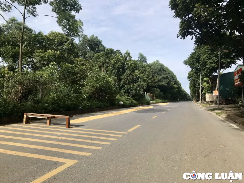 ha noi duong giao thong ngoai thanh lai hoa san phoi hinh 3