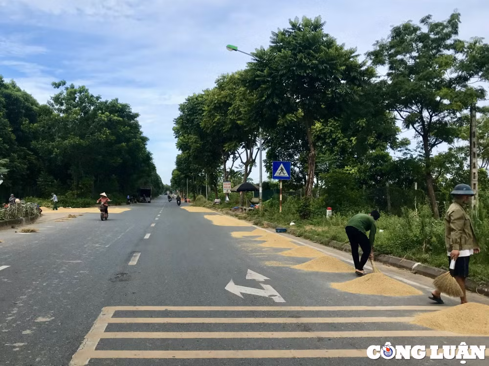 ha noi duong giao thong ngoai thanh lai hoa san phoi hinh 1