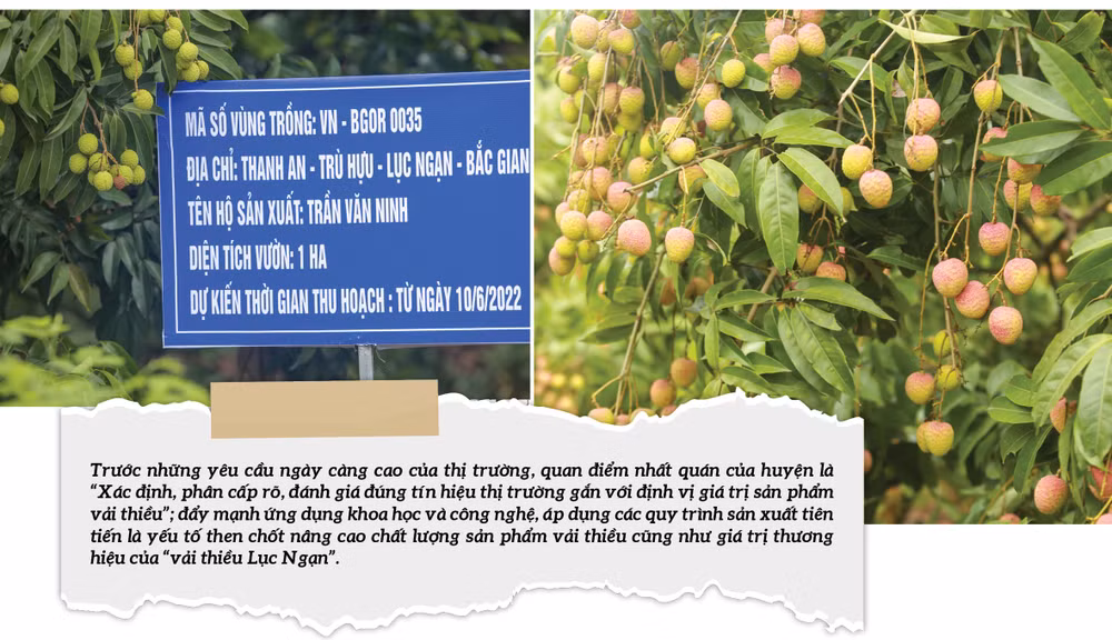 xay dung huyen luc ngan tro thanh vung cay an qua trong diem cap quoc gia hinh 2