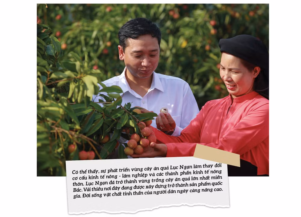 xay dung huyen luc ngan tro thanh vung cay an qua trong diem cap quoc gia hinh 4