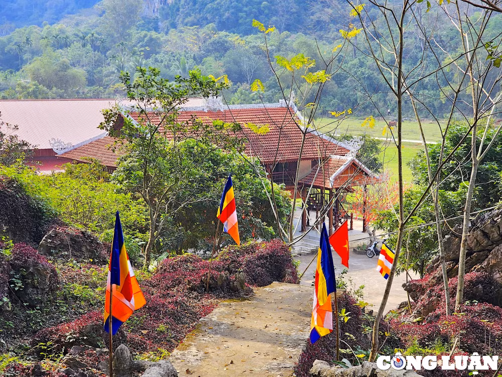 nam rong ghe tham chua rong hinh 5