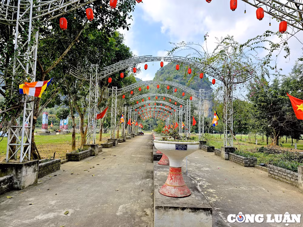 nam rong ghe tham chua rong hinh 6