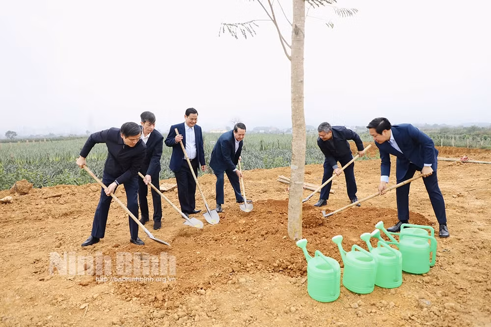 nam 2024 tinh ninh binh phan dau trong moi tren 12 trieu cay xanh va tren 350 ha rung hinh 1