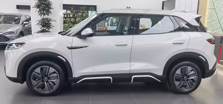 can canh byd yuan up 2024 hinh 2