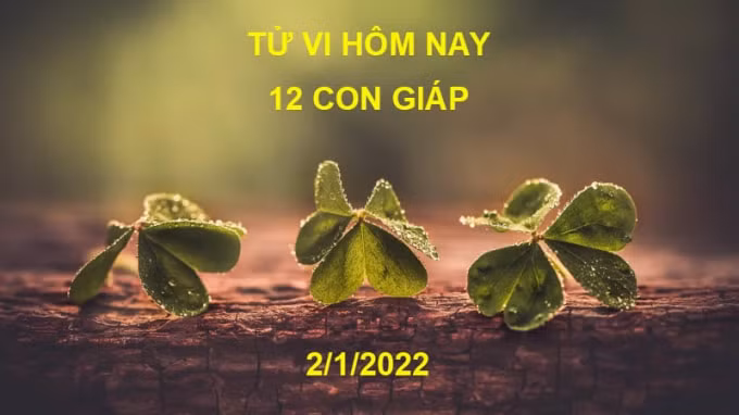 tu vi hom nay 2 1 2022 chu nhat ngay 30 11 am lich cua 12 con giap hinh 1