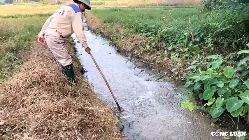phu ninh phu tho nhieu trang trai chan nuoi xay dung trai phep tren dat rung hinh 5
