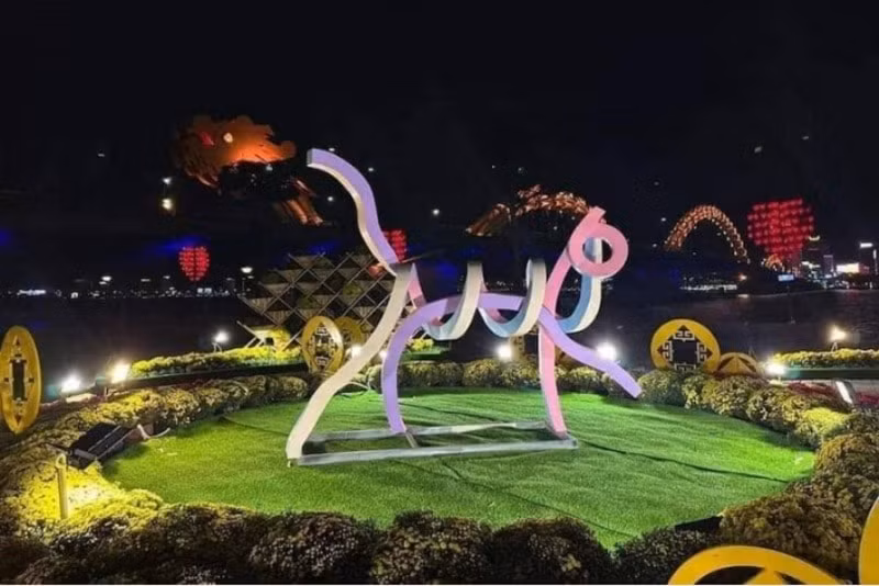da nang go bo linh vat meo bi to dao nhai hinh 1