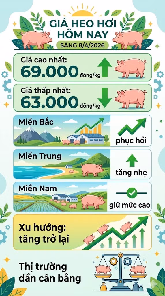 giaheohoi84.jpg