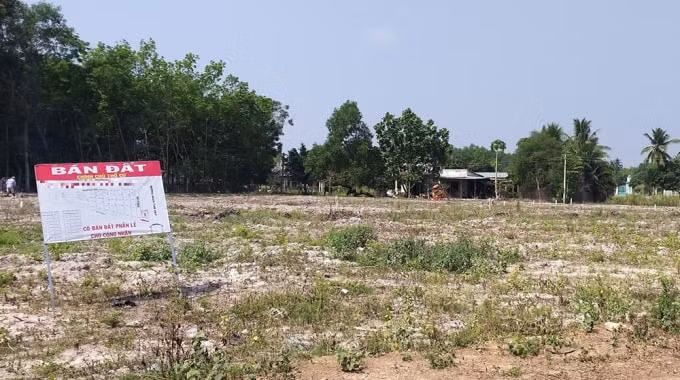 Tình trạng phân lô, bán nền 