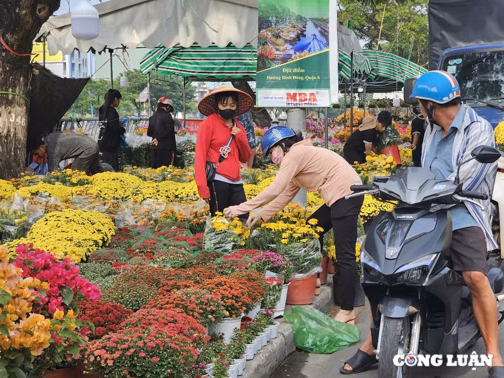 ron rang cho hoa xuan tren ben duoi thuyen o tp hcm ngay can tet hinh 2