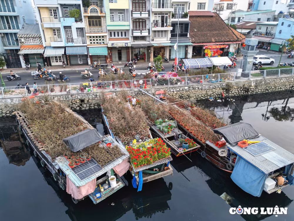 ron rang cho hoa xuan tren ben duoi thuyen o tp hcm ngay can tet hinh 7
