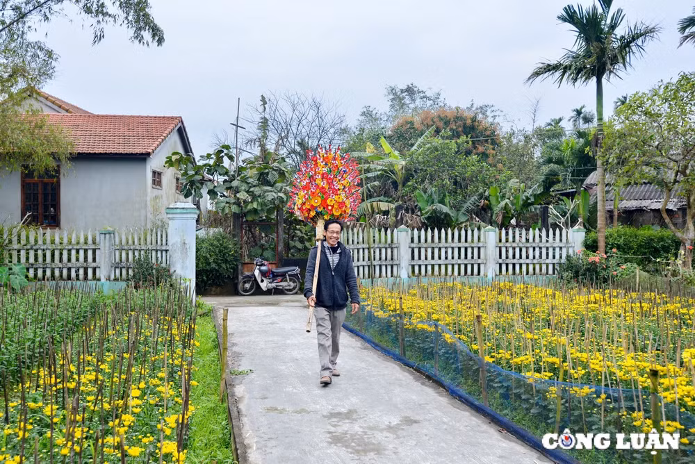 hue hoai co trong sac mau hoa giay thanh tien hinh 12