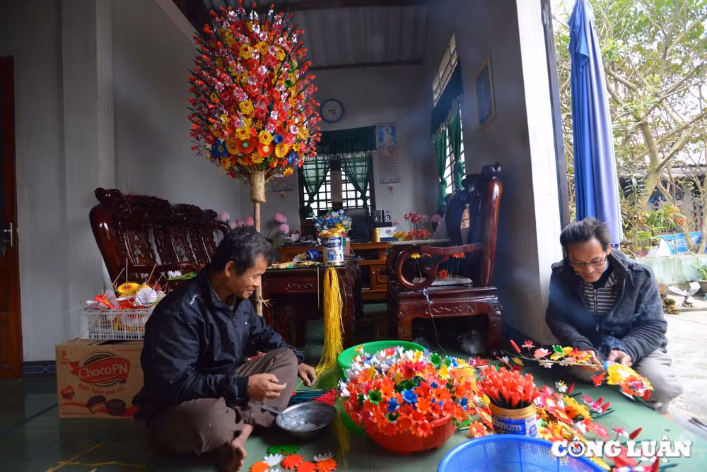 hue hoai co trong sac mau hoa giay thanh tien hinh 1