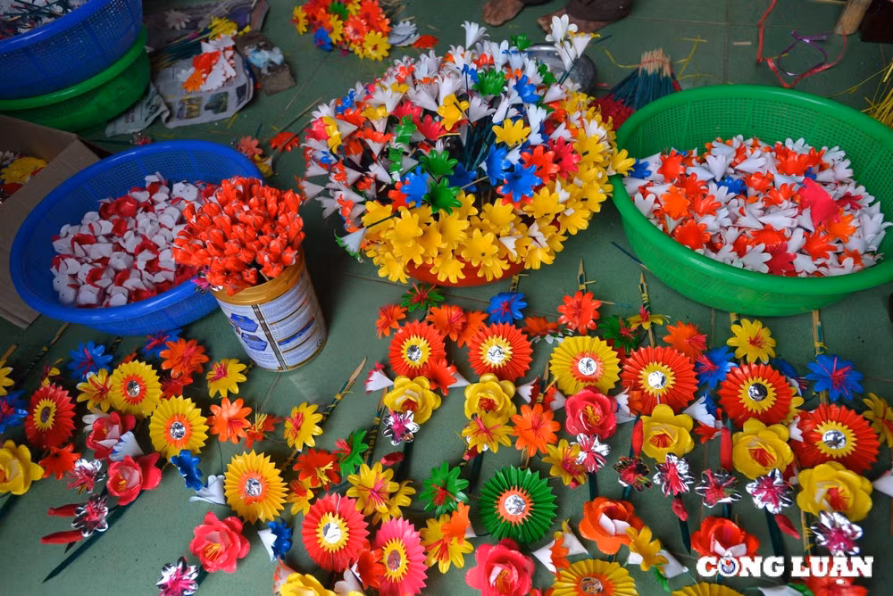 hue hoai co trong sac mau hoa giay thanh tien hinh 4