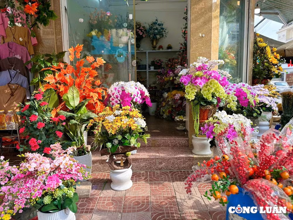 tp hai duong hoa tuoi binh on gia tieu thuong dat hang nhu tom tuoi hinh 12