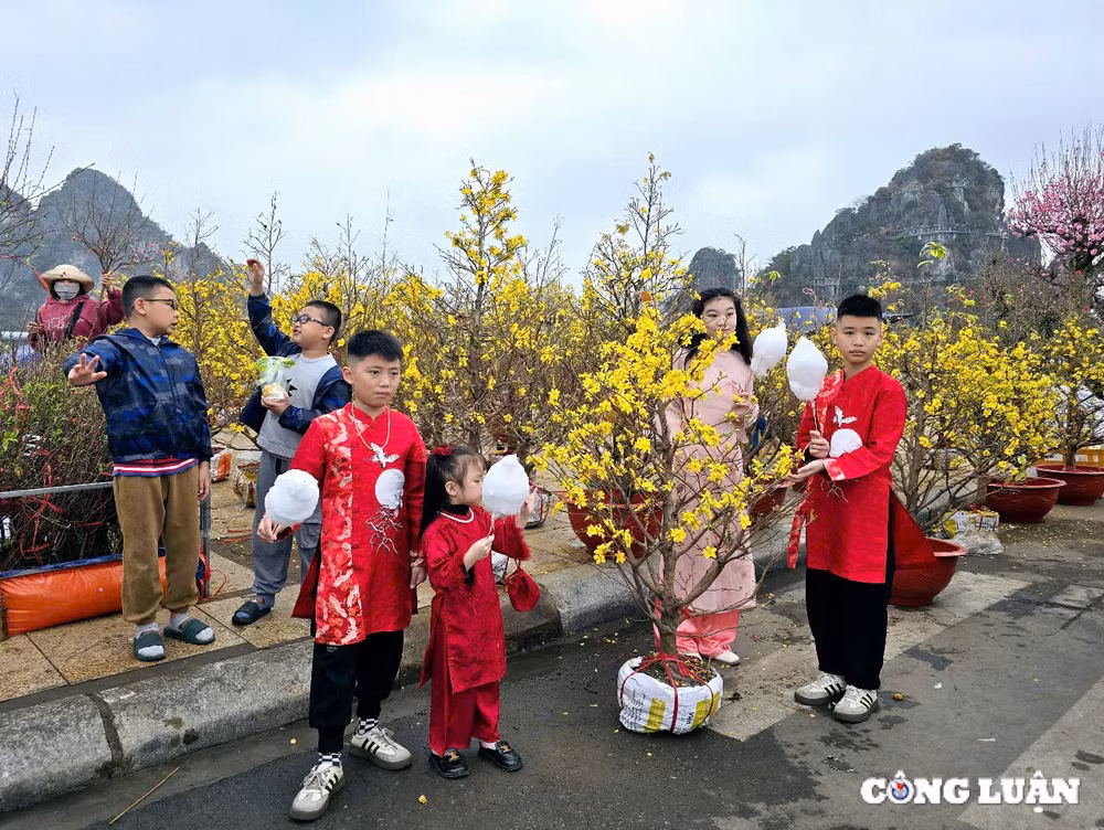 quang ninh tung bung cho hoa xuan ha long nam 2025 hinh 1
