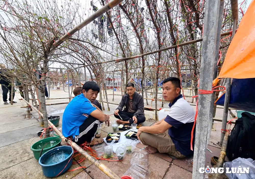 quang ninh tung bung cho hoa xuan ha long nam 2025 hinh 6