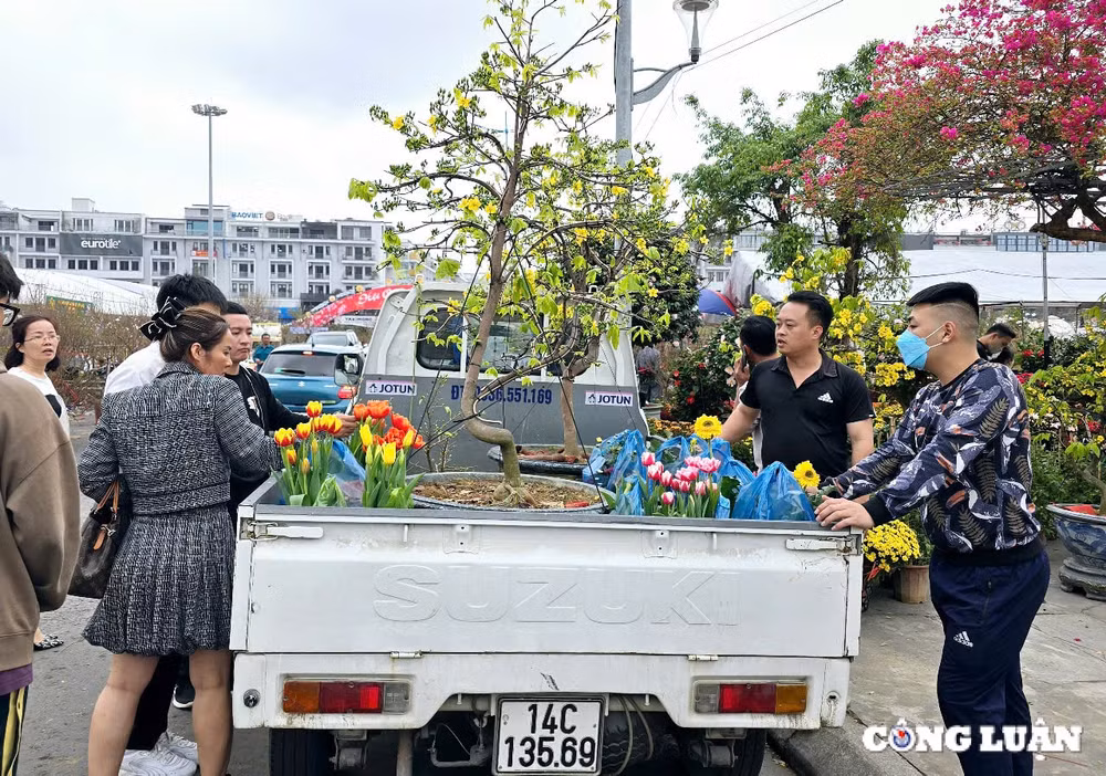 quang ninh tung bung cho hoa xuan ha long nam 2025 hinh 8