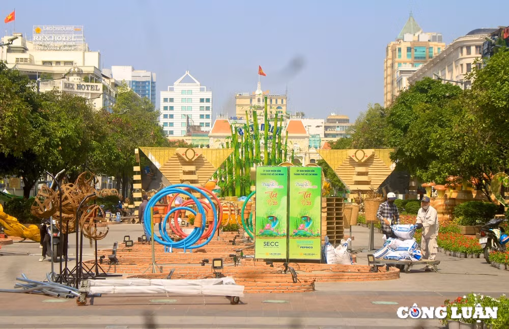 linh vat ran duong hoa nguyen hue tp hcm chinh thuc lo dien hinh 2