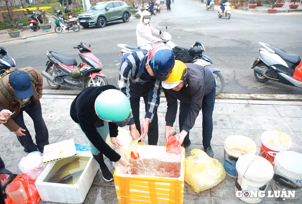 tet ong cong ong tao nguoi dan tha doi chep nang gan 10 can voi gia 500 nghin dong hinh 8