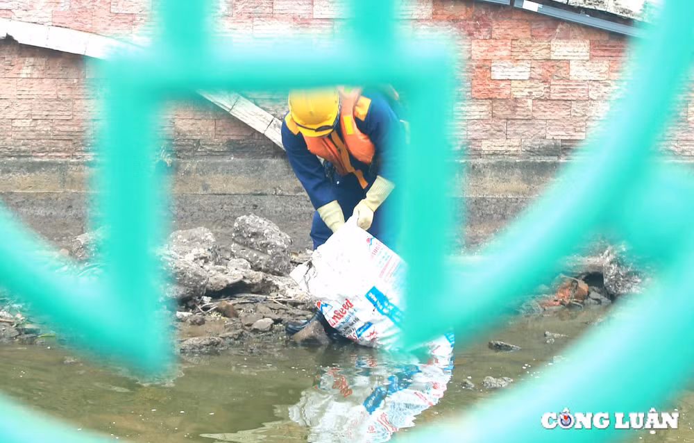 tet ong cong ong tao nguoi dan tha doi chep nang gan 10 can voi gia 500 nghin dong hinh 14