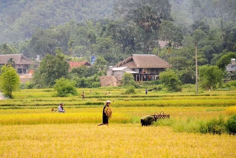 cum homestay o ha giang nhan giai thuong du lich asean hinh 1