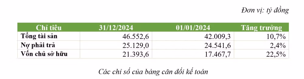 nam 2024 doanh thu bamboo capital can moc 43719 ty dong loi nhuan sau thue tang gap 5 lan hinh 3
