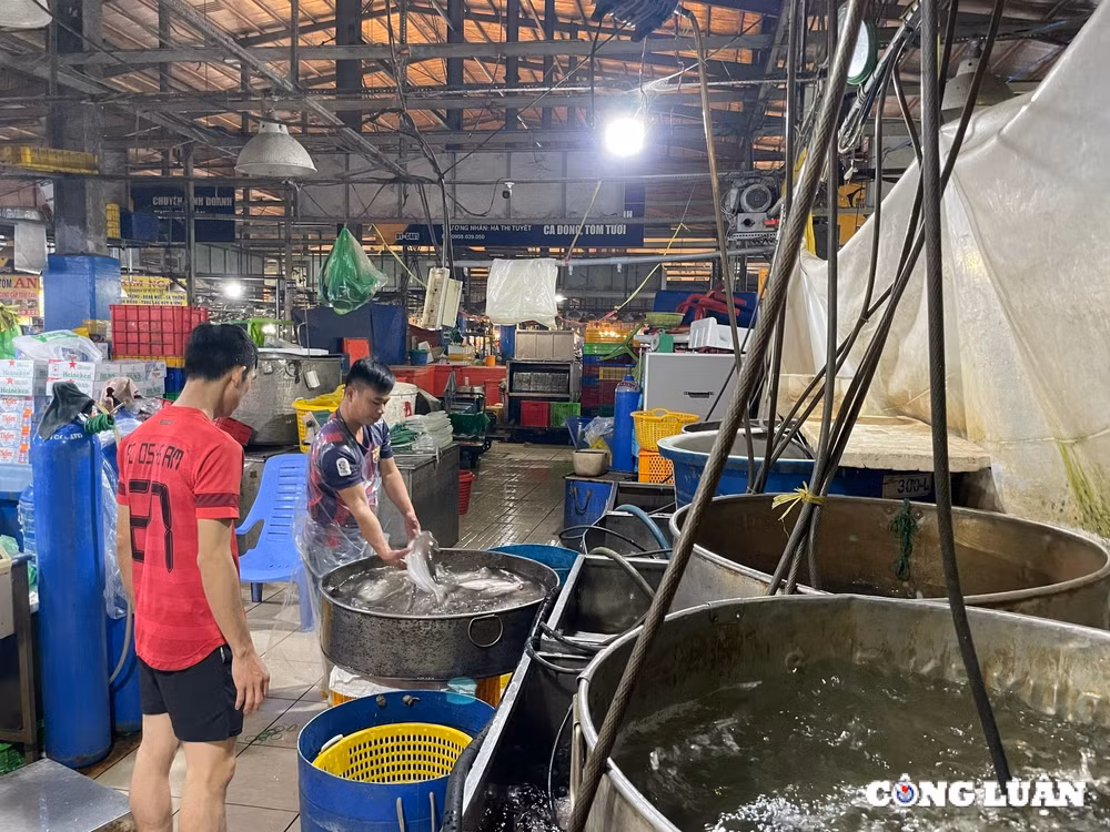 cho dau moi thuy hai san lon nhat tp hcm nhon nhip ngay giap tet hinh 6