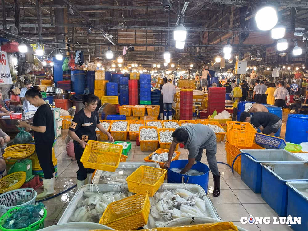 cho dau moi thuy hai san lon nhat tp hcm nhon nhip ngay giap tet hinh 1