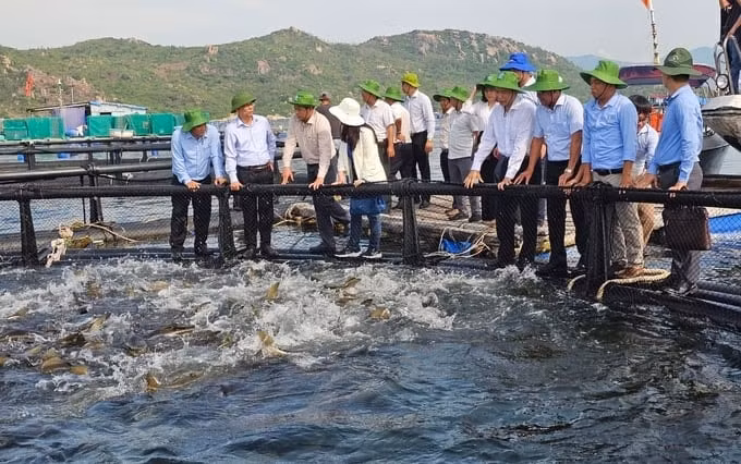 thu tuong phe duyet de an thi diem phat trien nuoi bien cong nghe cao tai khanh hoa hinh 1
