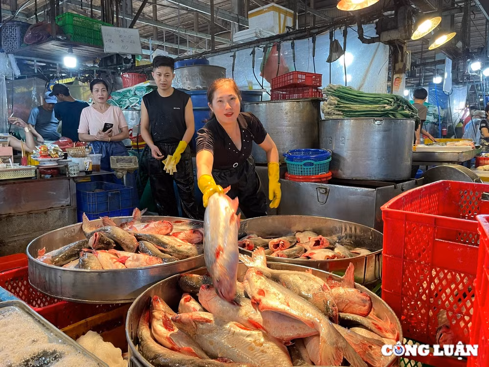 cho dau moi thuy hai san lon nhat tp hcm nhon nhip ngay giap tet hinh 2