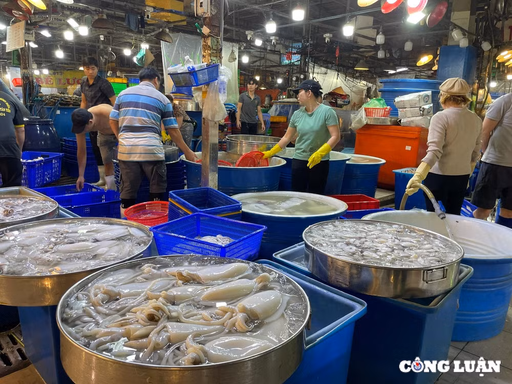 cho dau moi thuy hai san lon nhat tp hcm nhon nhip ngay giap tet hinh 5