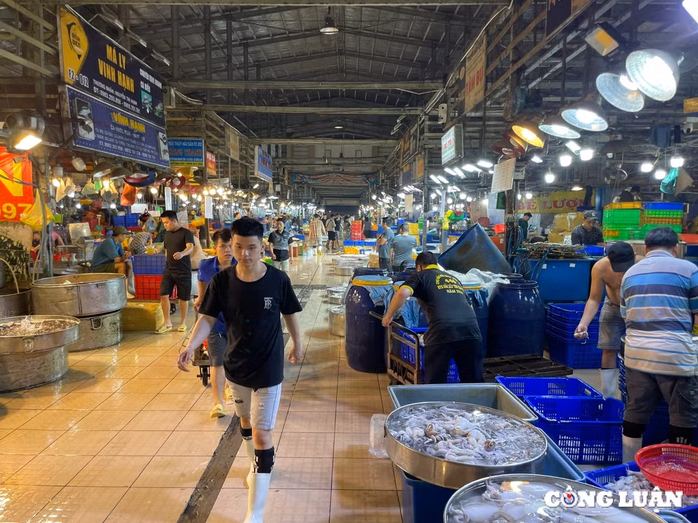 cho dau moi thuy hai san lon nhat tp hcm nhon nhip ngay giap tet hinh 7