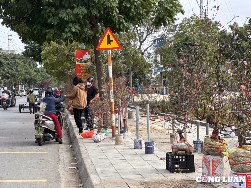 tp hai duong dao phai dao huyen gia tam trung dat khach mua chieu 29 tet hinh 7
