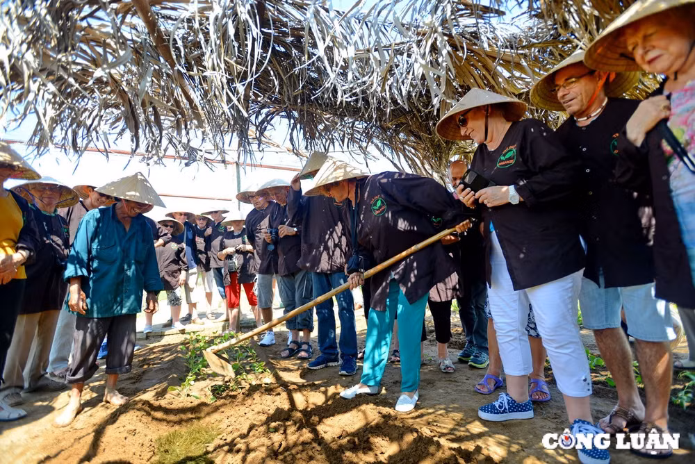 suc hap dan cua lang rau tra que lang du lich tot nhat nam 2024 cua lien hop quoc hinh 7
