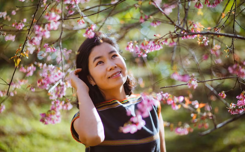 chum anh hang trieu bong mai anh dao no ruc hong nui rung kon tum hinh 8