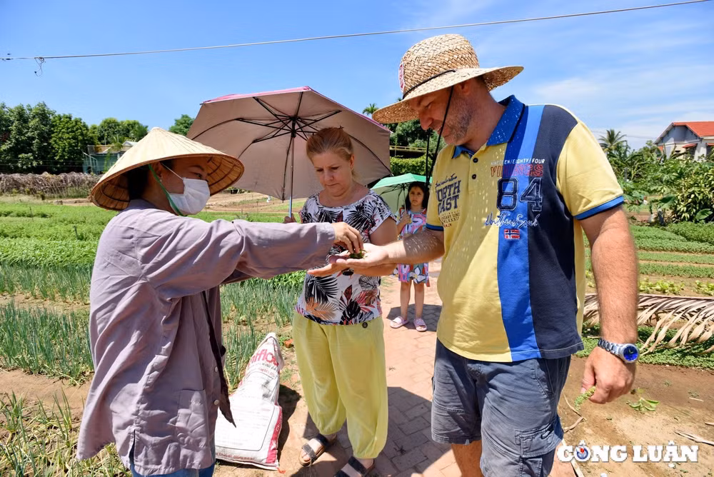 suc hap dan cua lang rau tra que lang du lich tot nhat nam 2024 cua lien hop quoc hinh 5