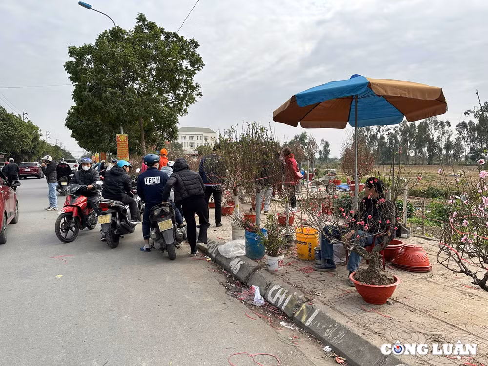 tp hai duong dao phai dao huyen gia tam trung dat khach mua chieu 29 tet hinh 1