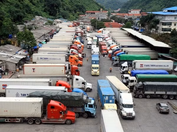 xu ly nghiem cac hanh vi truc loi tu un tac hang hoa tai cua khau hinh 1